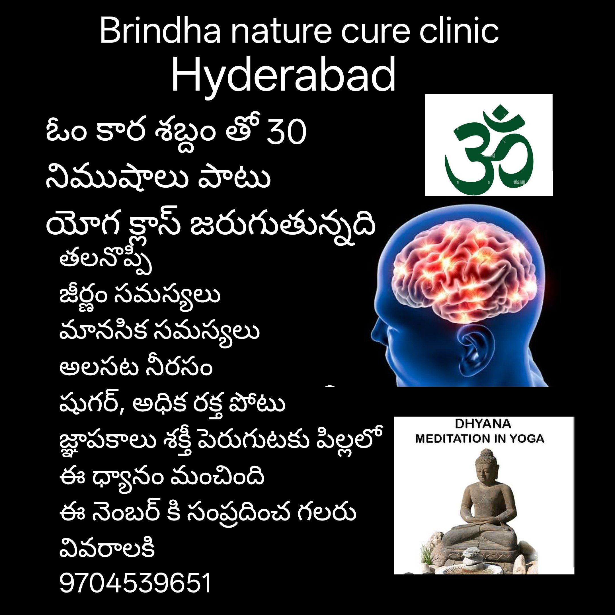 BRINDHA NATURE CURE CLINIC - 1515