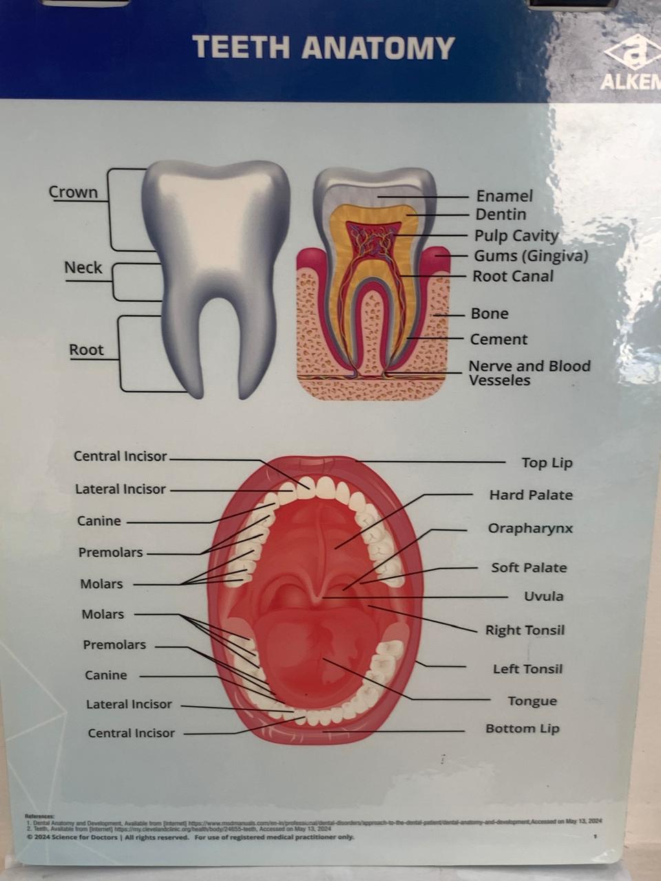 Medicare Dental Clinic - 1760