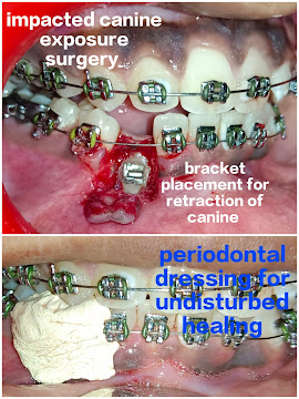 Raj Dental And Implant Expert - 1937